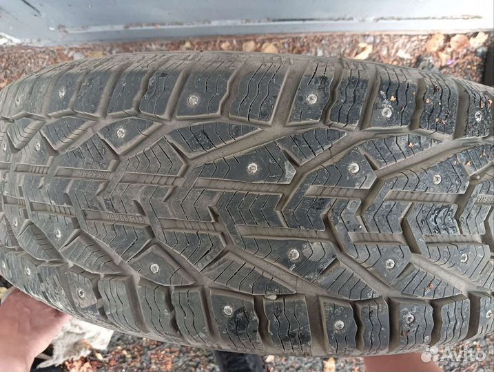Tigar Ice 205/55 R16