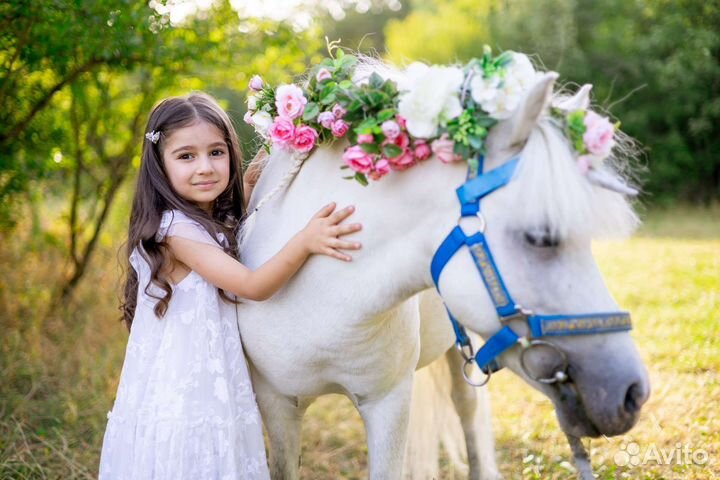 Конные прогулки,пони,фотосессия