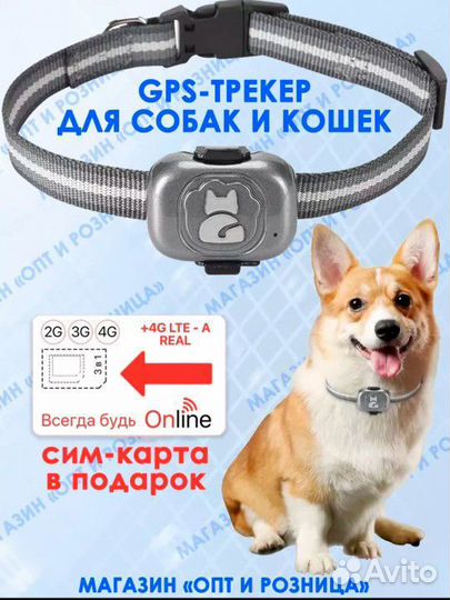 GPS трекер для собак, кошек и животных