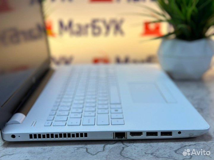 Идеальный офисный ноутбук HP