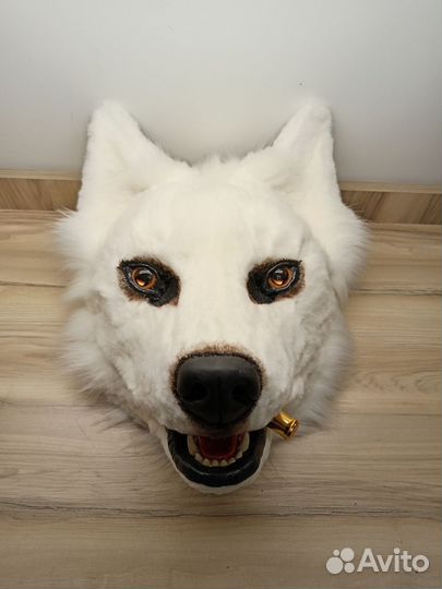 Фурсьют собака