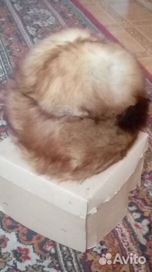 Шапка соболья