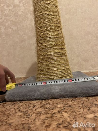 Когтеточка большая, устойчивая, бу