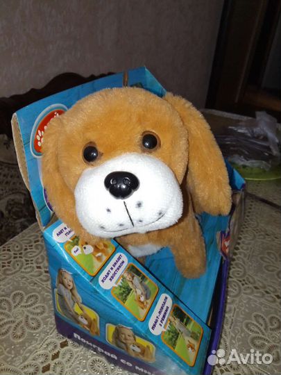 Интерактивная собака на поводке