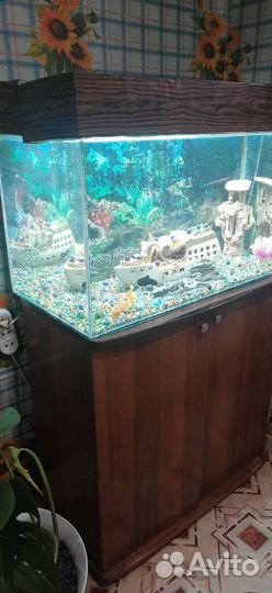 Аквариум