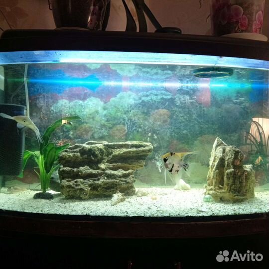 Аквариум с тумбой