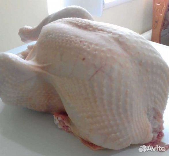 Мясо домашней индейки