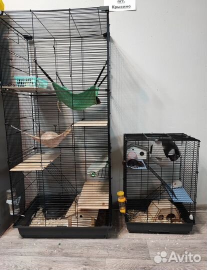 Клетка для грызунов высокая