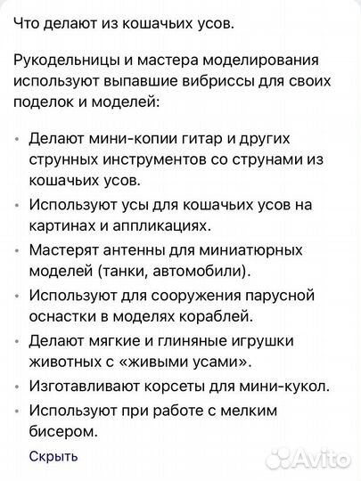 Усы котов