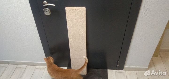 Когтеточка по индивидуальному размеру