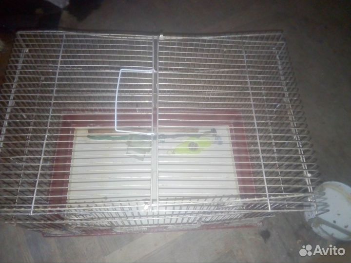 Клетка для попугая