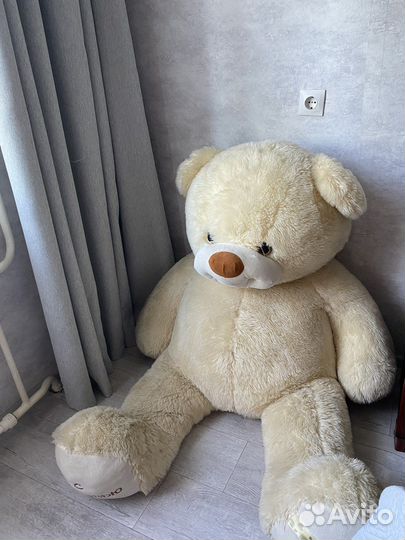 Плюшевый медведь