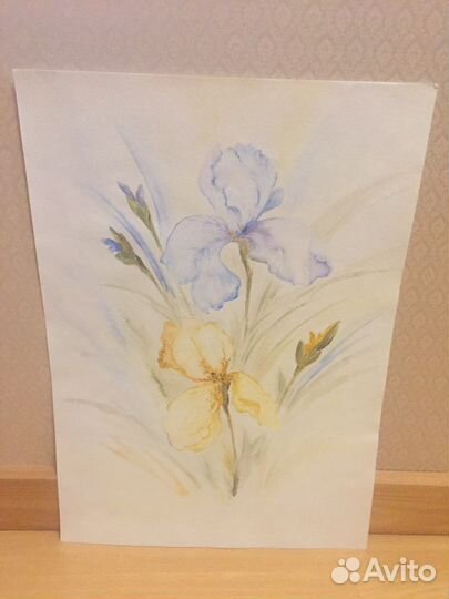 Акварельная картина Ирисы