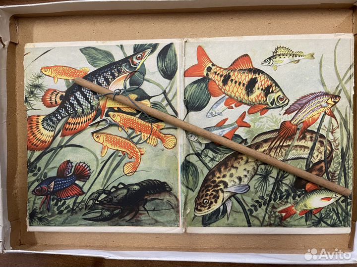 Поймай рыбку