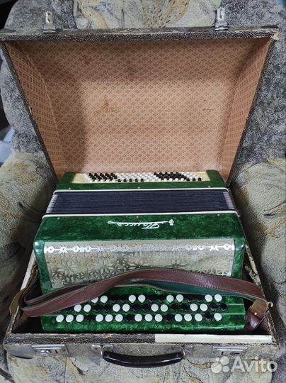 Баян Полесье