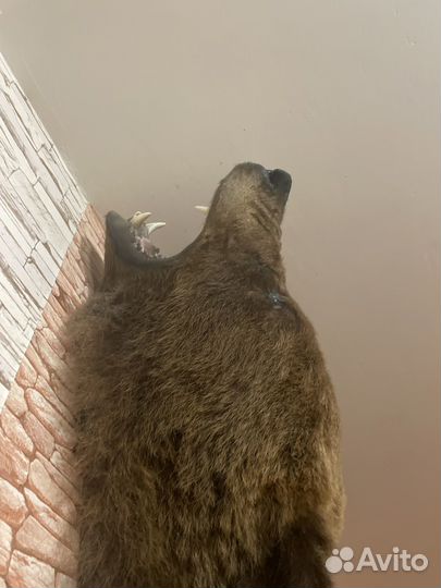 Чучело