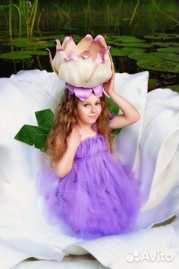 Лотос для Дюймовочки, большой цветок