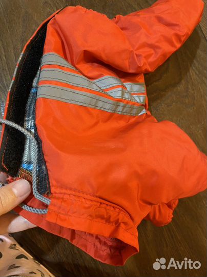 Костюм для собак