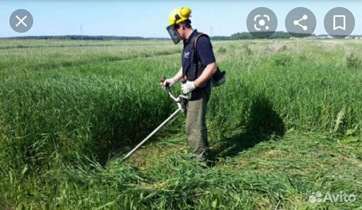 Покос травы