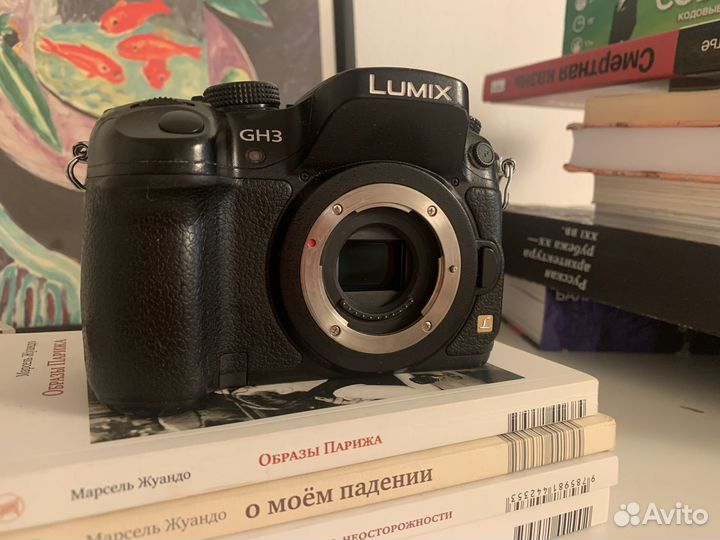 Камера Panasonic Lumix gh3