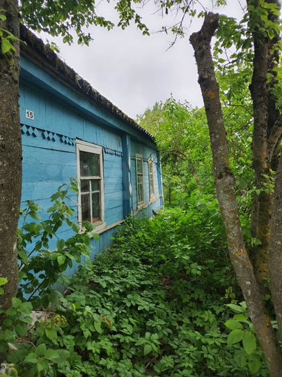 Дом 60 м² на участке 50 сот.
