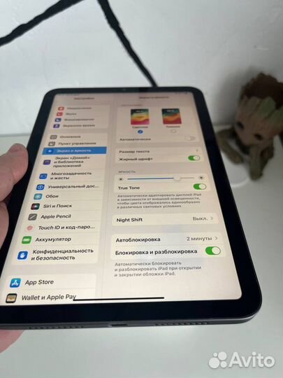 iPad mini 6