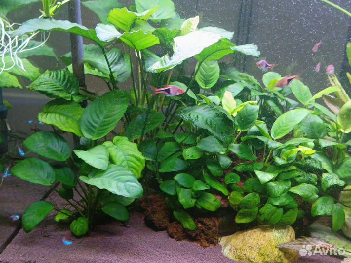 Украшение для аквариума