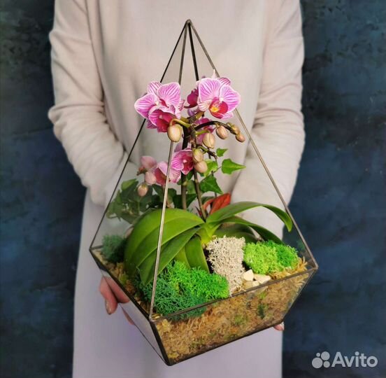 Разные флорариумы с орхидеями орхидариумы
