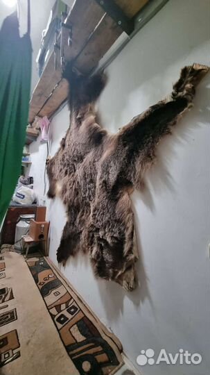 Шкура медведя имитация