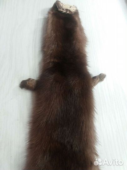 Шкурка норки