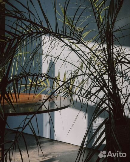 Готовый бизнес Фотостудия