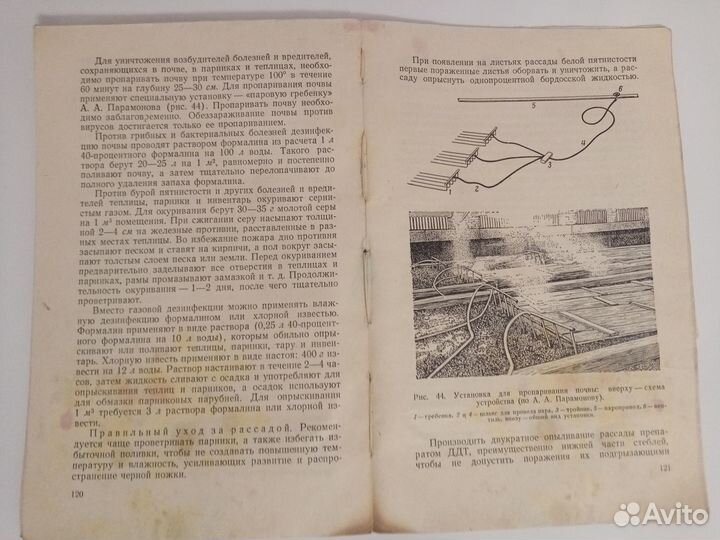 Книга по садоводству А. П. Петренко 1957 г