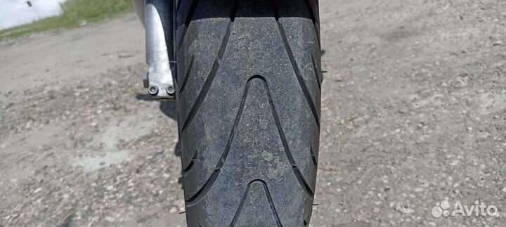 Honda cbr 1100 xx