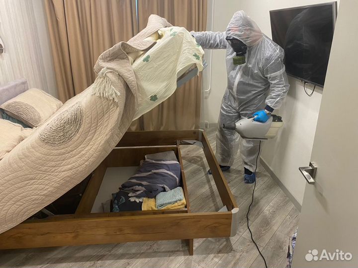 Уничтожение клопов и тараканов. Дезинфекция