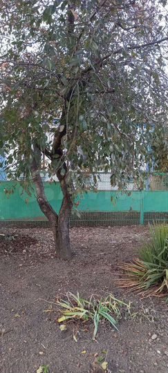 Дом 53 м² на участке 7 сот.