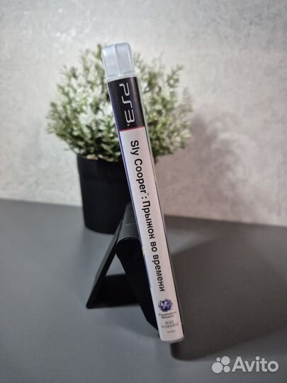 Sly Cooper Прыжок во Времени PS3