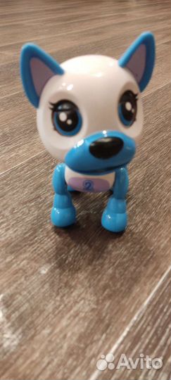 Умный щенок