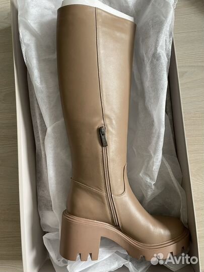 Сапоги Эконика демисезонные