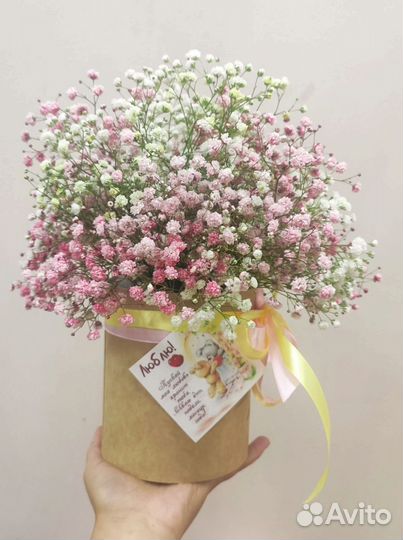 Коробка гипсофилы