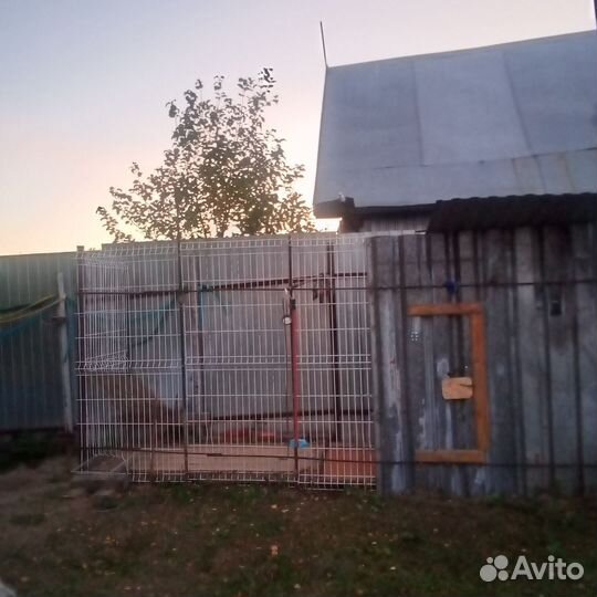 Вольер для собак