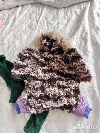 Одежда для маленьких собак xs