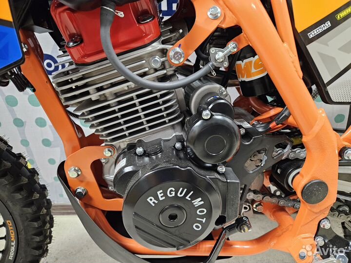 Regulmoto Athlete PRO 300 4 клап18/21 2024г. (птс)