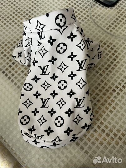 Одежда для собак