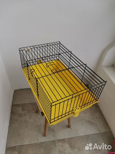 Клетка для морской свинки или другого грызуна