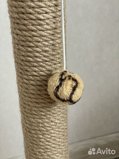 Когтеточка для кошек новая