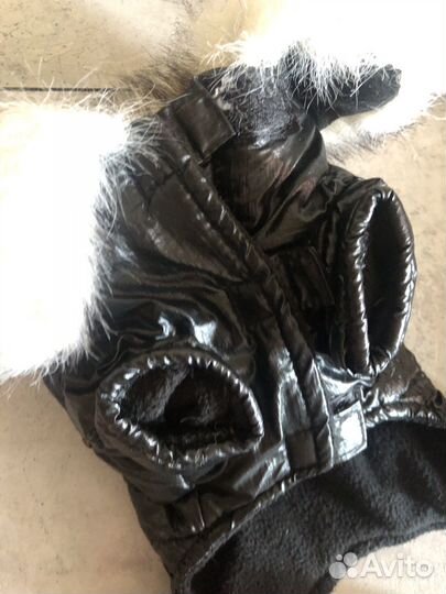 Комбинезон для маленькой собачки