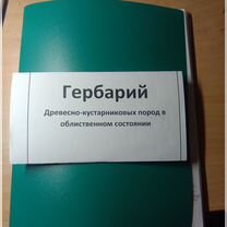 Гербарий древесно кустарниковых пород