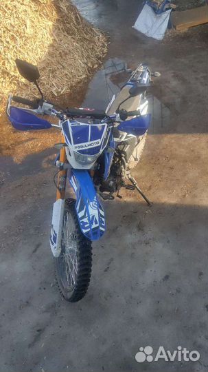 Regulmoto sport 003