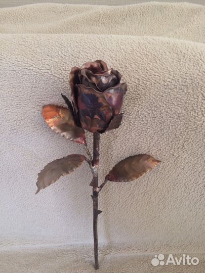 Медная роза