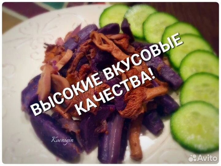 Картофель Монах семенной и на еду